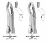 Youngdent Extracting Forceps 10S/53L/53R/150/1
